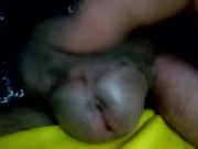 My birdie