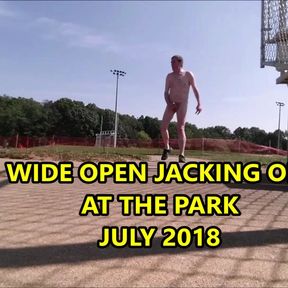 Wide Open Jacking Off at the Park July 2018