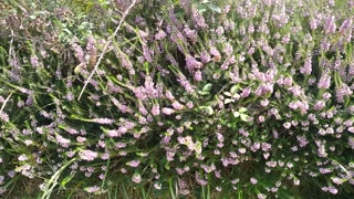 The Man Left The Road By Bicycle 🚴 He Takes His Cock On The Road Risking Being Seen