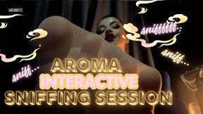 Aroma Interactive Sniffing Session