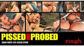 Pissed and Probed: Scene 1: Collin Stone & Adam Herst