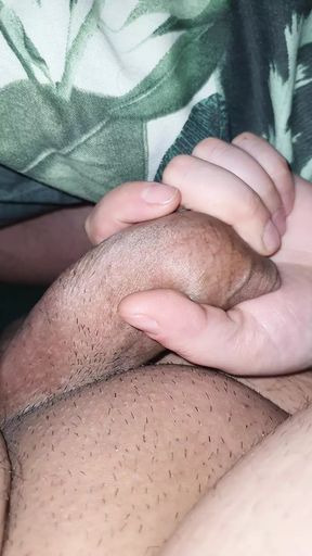 The good neighbour handjob step son dick