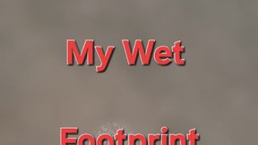 Rip-off #4: Scammed By My Wet Footprint on the Floor