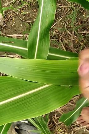 Big Cock Cumming on Field, Milk Cumshot