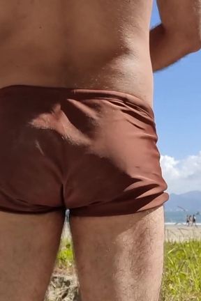 Furry Enjoying the Beach