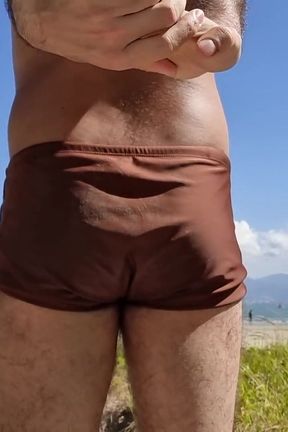 Furry Enjoying the Beach
