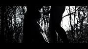 Through These Woods : A short film by Carnalus Vidal and Creature Marie