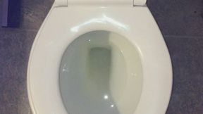 I PISS GOLD IN MY TOILET DAILY I WISH FOR CUSTOMERS