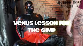 Venus lesson for the gimp!