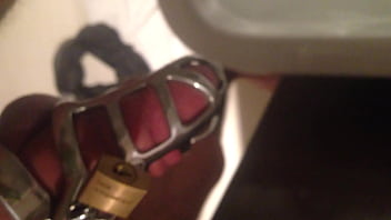 Metal Chastity Belt salve cumming