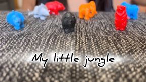 My little jungle