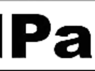 Tattooed starlet Kayla Jane poses in pantyhose