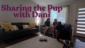 Sharing the Pup With Dani 4k