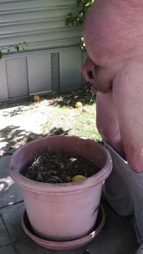 Pissing In Planter