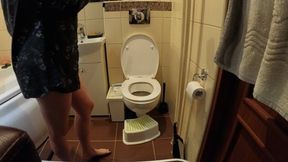 Only dressed up in men's shirt on toilet