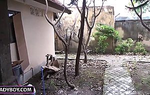Thai ladyboy quin masturbating and bj
