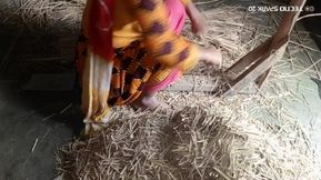 Secret Moments in the Village Barn