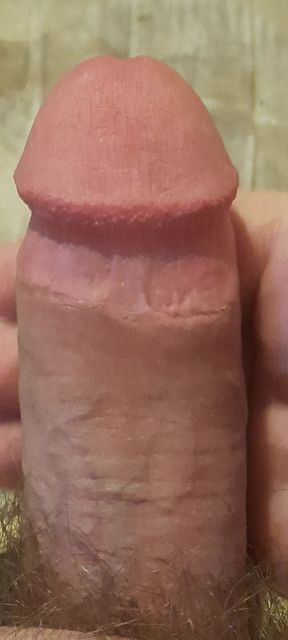 Showing Of My Cock And Ready For Sucking