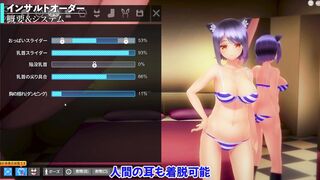 同人アダルトで最もエロいアニメ調3Ｄエロゲがこちらです【インサルトオーダー】