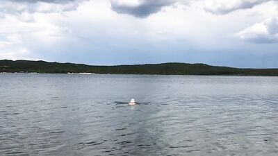 Jeg svømmer nøgen og rykker ud på en offentlig strand....Jeg tror, de bemærkede mig?!