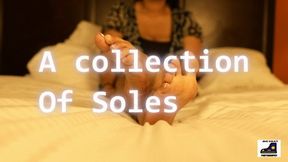 A collection of Soles ft ExplosiveSoles