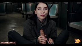 Beautiful Stranger Gives Blowjob on Train