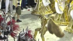 Destaque de ch&atilde_o Viradouro 2019