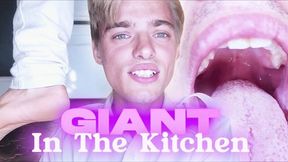 Unaware Giant In The Kitchen (HD WMV)