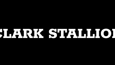 MISSIONARY POUNDING (CLARK STALLION X ELLAH BANKS)