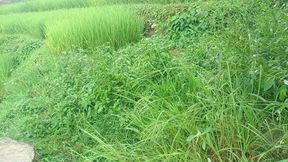 Nepali Jungle Vloge Sali Vena Sex Video