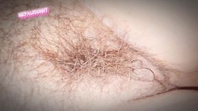 Nepali Hairy Pussycat