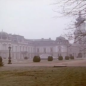 Lustige Witwe (1995)