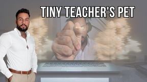 Tiny Teacher's Pet - Lalo Cortez