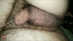 Cocksman Squirter Sub - Sexy Anal Play