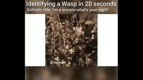 I'_m a scorpio what'_s your sign?