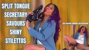 Split Tongue Secretary Savours Shiny Stilettos