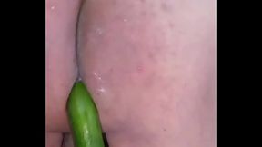 Cucumber is on the menu today