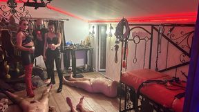 Hot drips on cock&#x1F32D; and balls - Intense waxing harem - Mistress Zeida Cluj Napoca BDSM