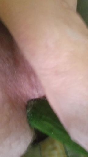 Fuck My Ass