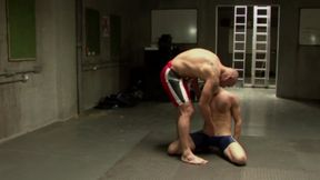 After fighting and wrestling they like to relax with fucking