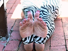 Fem Bryce aka fembryce OnlyFans - Zebra or no lol