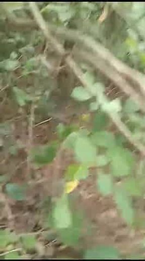 Telugu beautiful wife sex