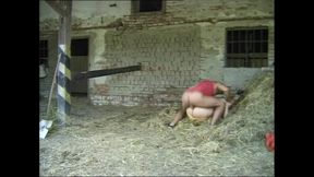 Vintage Bondage Porn of Beautiful Slaves on Leash Tied and Fucked (full Movie)