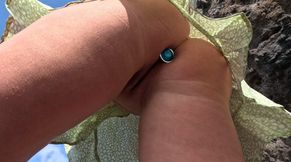 beach pussy play