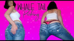 Whale Tail Picking