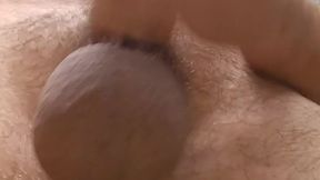 Use them before they're gone, puppy @AngryBarks gets neutered, cums with the elastrator band on????