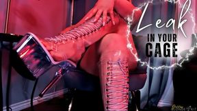 Leak in Your Cage