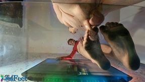 Go Go Boy Cock Trample HD Part 2