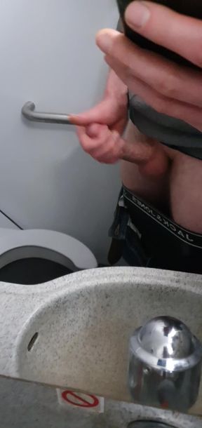 Horny on the airplane toilet