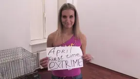 Deviant perv takes small ass stuffed toy during freaky copulation